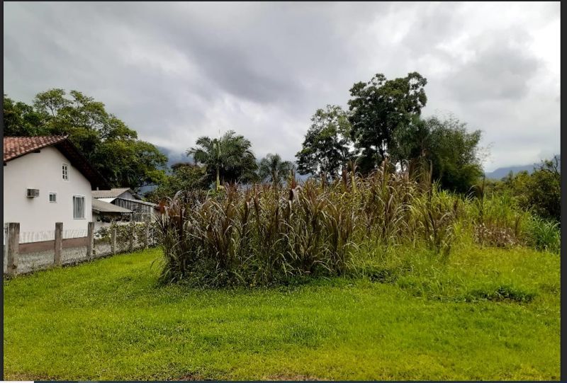 IMÓVEL MATRICULA 5.425, localizado em Schroeder - SC