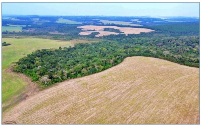 IMÓVEL MATRICULA 3.965, localizado em Mafra - SC