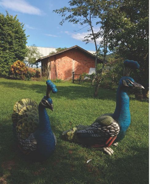 2 ESCULTURAS DE PAVÕES, FEITAS DE FERRO