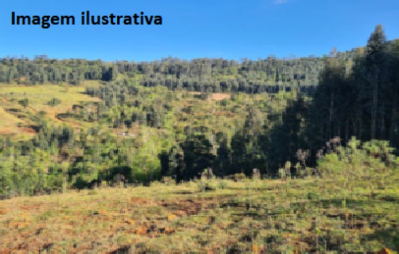 Terreno rural c/ 193.600,00m2 - tangará/sc.