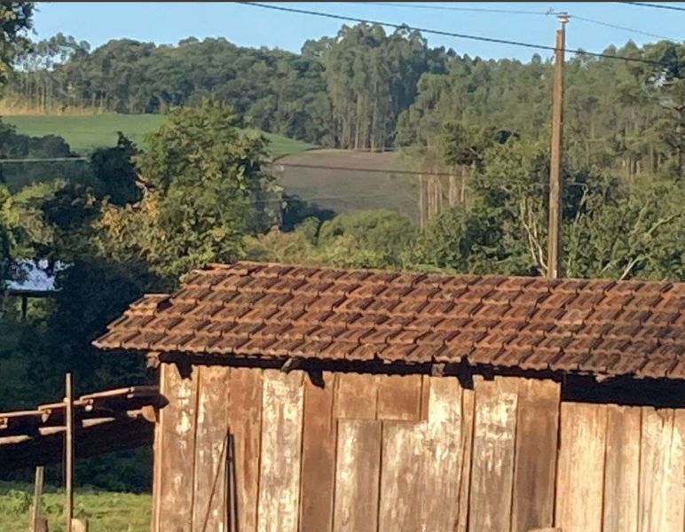 Área rural c/ 80.000m2 - Pinhalzinho SC