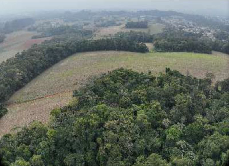 Terreno Criciúma SC, localizado em Criciúma - SC