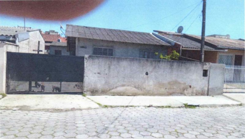 miniatura-1