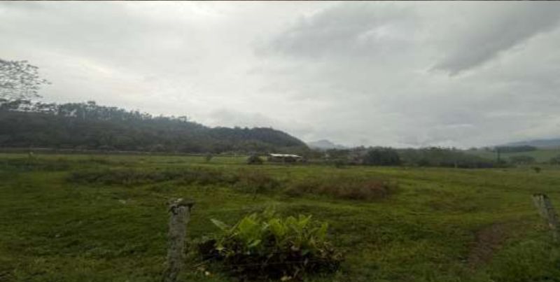 TERRENO RURAL DE CULTURA, COM ÁREA DE 176.457,30M2, localizado em Petrolândia - SC
