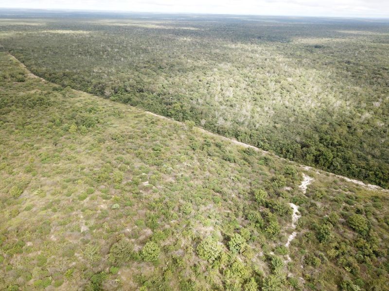 Fazenda Águas do Norte, localizado em Brasnorte - MT