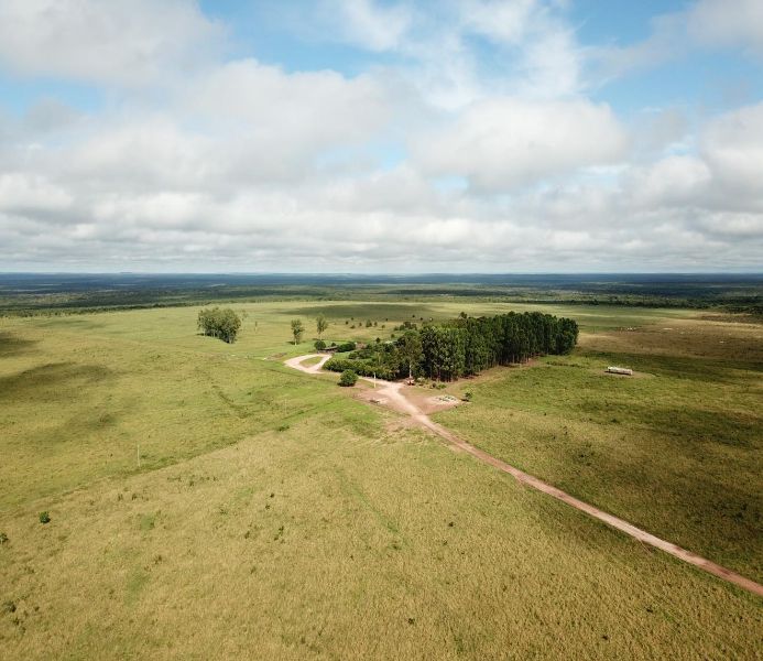 Fazenda Águas do Norte, localizado em Brasnorte - MT