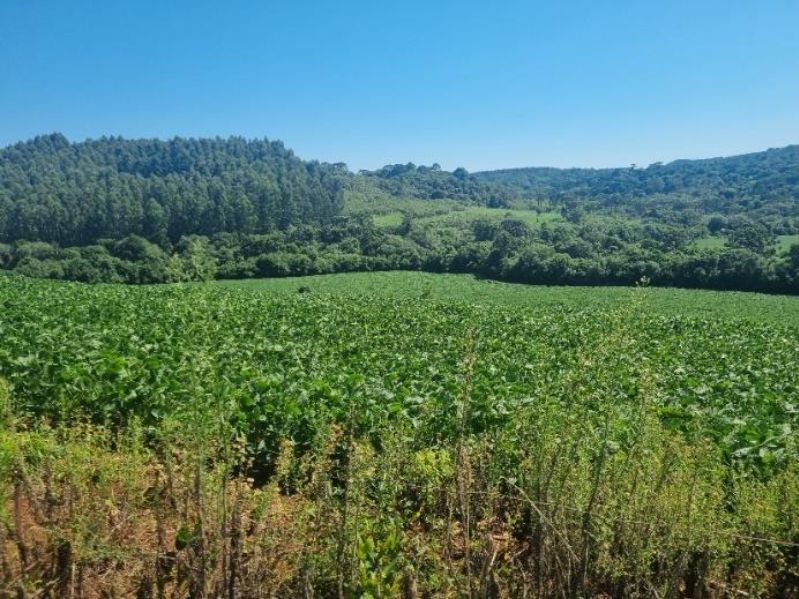 50% DO TERRENO RURAL em Lebon Régis/SC, localizado em Lebon Régis - SC