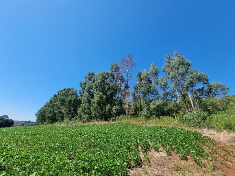 50% DO TERRENO RURAL em Lebon Régis/SC, localizado em Lebon Régis - SC