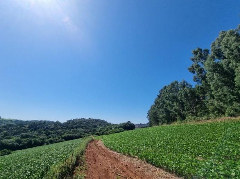 50% DO TERRENO RURAL em Lebon Régis/SC, localizado em Lebon Régis - SC