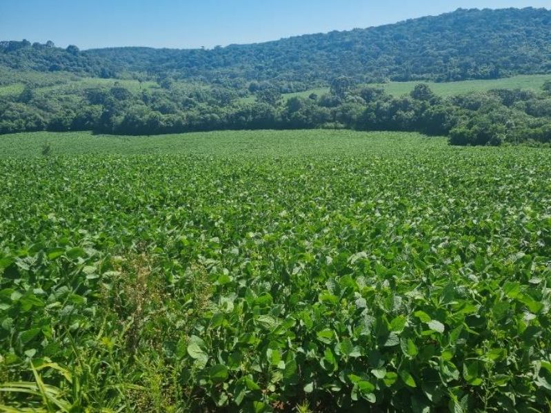 50% DO TERRENO RURAL em Lebon Régis/SC, localizado em Lebon Régis - SC