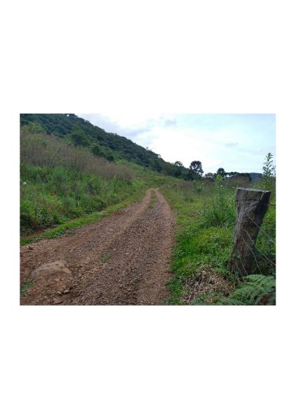 TERRENO RURAL TIMBÓ GRANDE, localizado em Timbó Grande - SC
