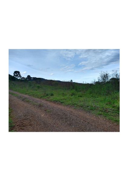 TERRENO RURAL TIMBÓ GRANDE, localizado em Timbó Grande - SC