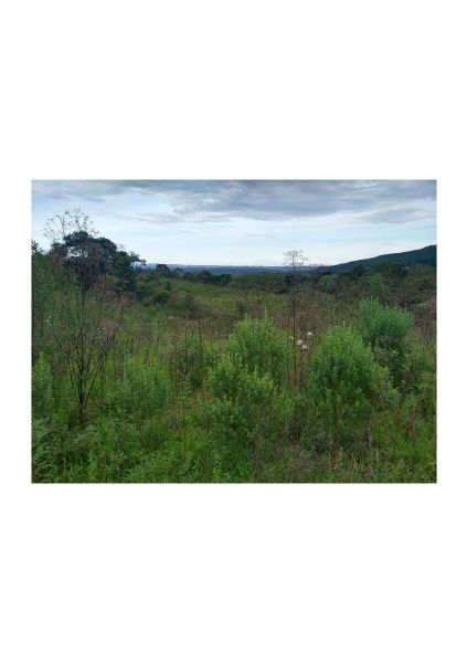 TERRENO RURAL TIMBÓ GRANDE, localizado em Timbó Grande - SC