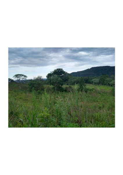 TERRENO RURAL TIMBÓ GRANDE, localizado em Timbó Grande - SC