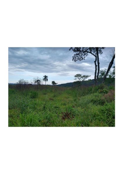 TERRENO RURAL TIMBÓ GRANDE, localizado em Timbó Grande - SC