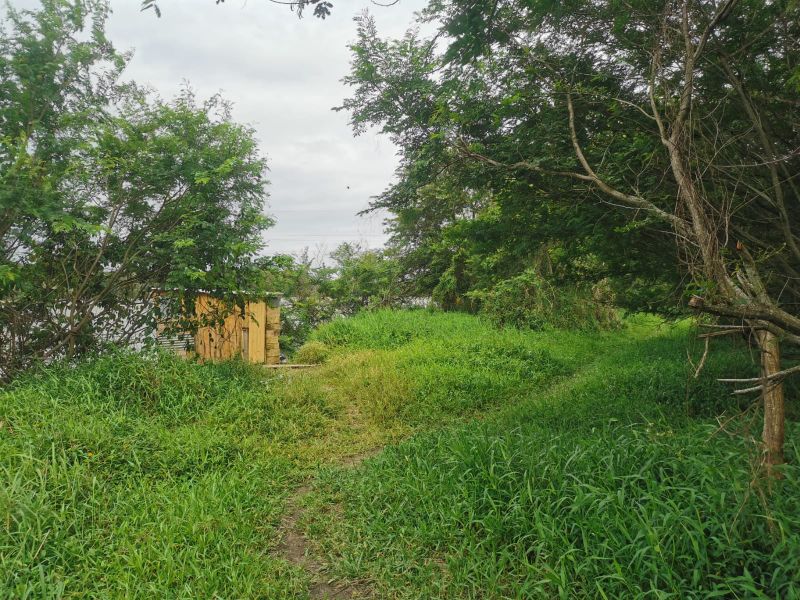 Terreno de 4.604,50m² na Guarda do Cubatão, localizado em Palhoça - SC