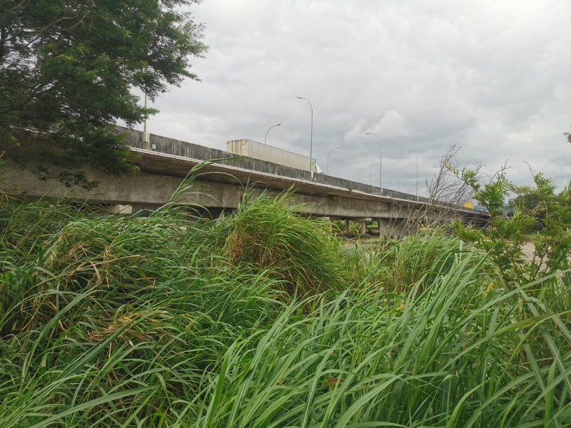 Terreno de 4.604,50m² na Guarda do Cubatão, localizado em Palhoça - SC