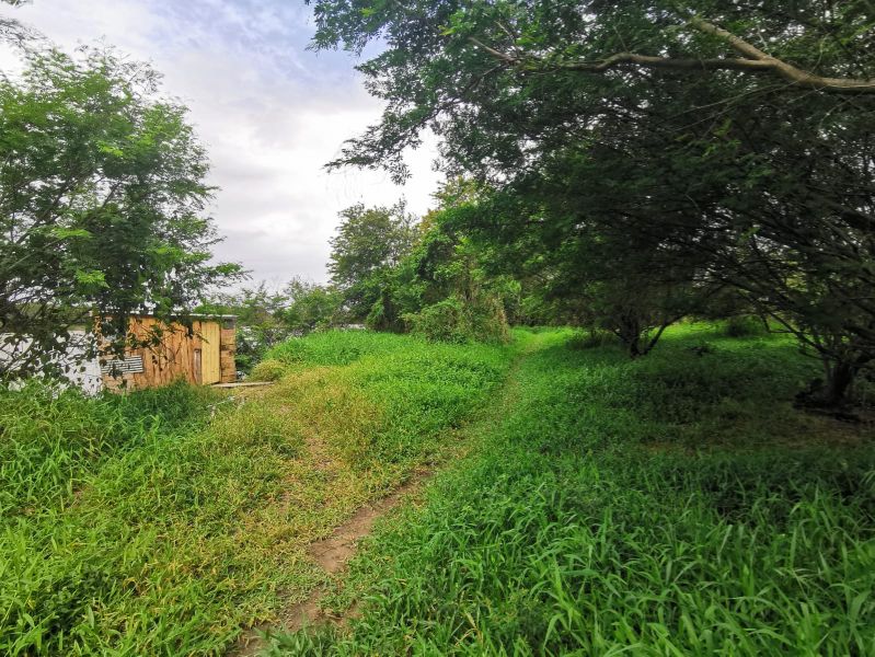 Terreno de 4.604,50m² na Guarda do Cubatão, localizado em Palhoça - SC