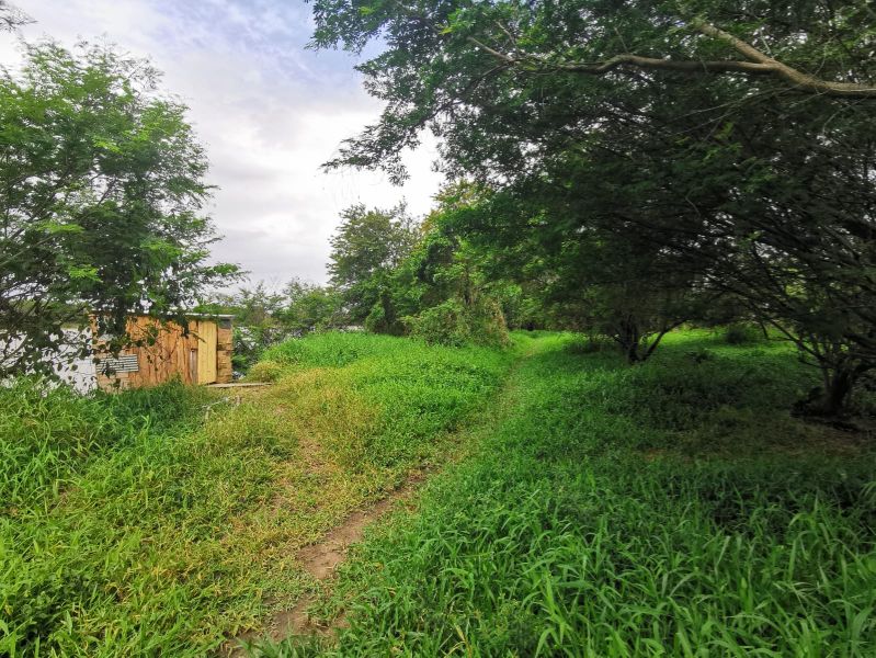 Terreno de 4.604,50m² na Guarda do Cubatão, localizado em Palhoça - SC