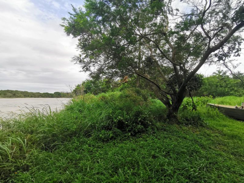 Terreno de 4.604,50m² na Guarda do Cubatão, localizado em Palhoça - SC