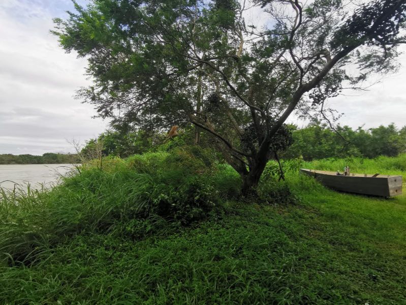 Terreno de 4.604,50m² na Guarda do Cubatão, localizado em Palhoça - SC