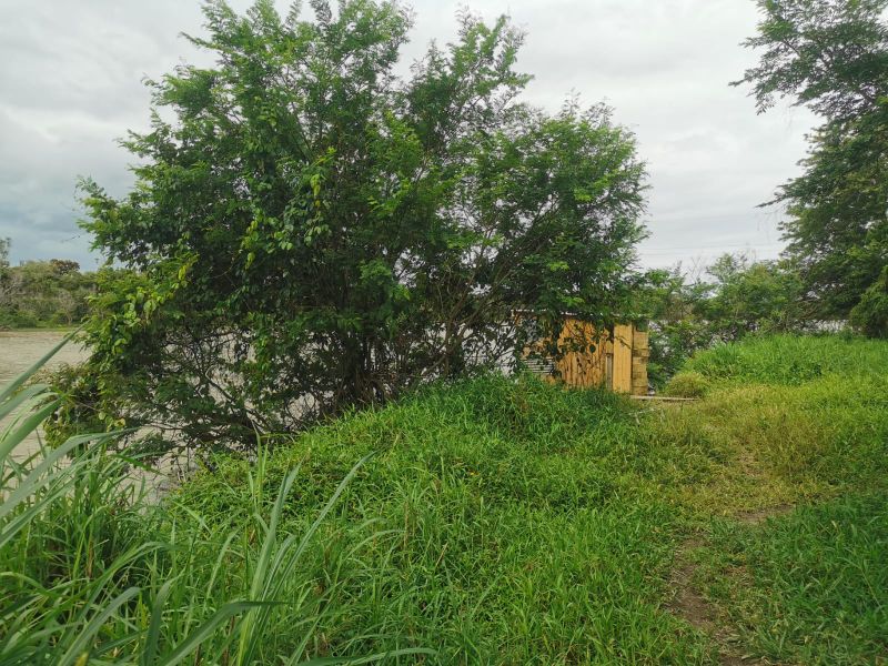 Terreno de 4.604,50m² na Guarda do Cubatão, localizado em Palhoça - SC