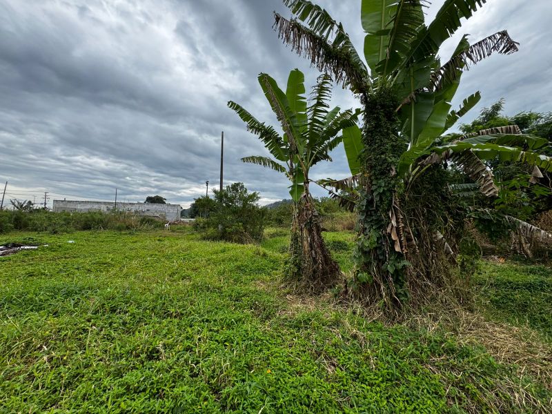 Direitos Possessórios - Terreno Canavieiras, localizado em Florianópolis - SC