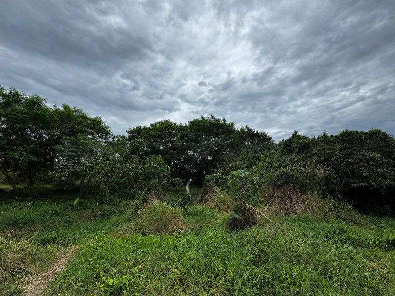 Direitos Possessórios - Terreno Canavieiras, localizado em Florianópolis - SC