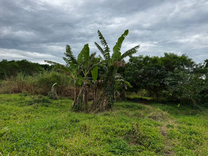 Direitos Possessórios - Terreno Canavieiras, localizado em Florianópolis - SC