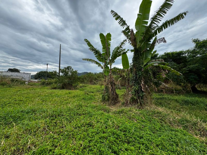 Direitos Possessórios - Terreno Canavieiras, localizado em Florianópolis - SC