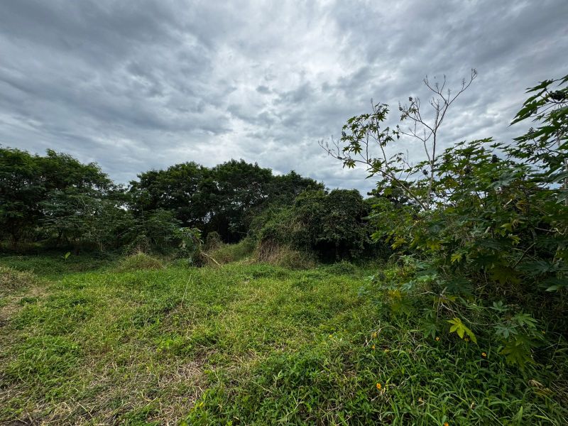 Direitos Possessórios - Terreno Canavieiras, localizado em Florianópolis - SC