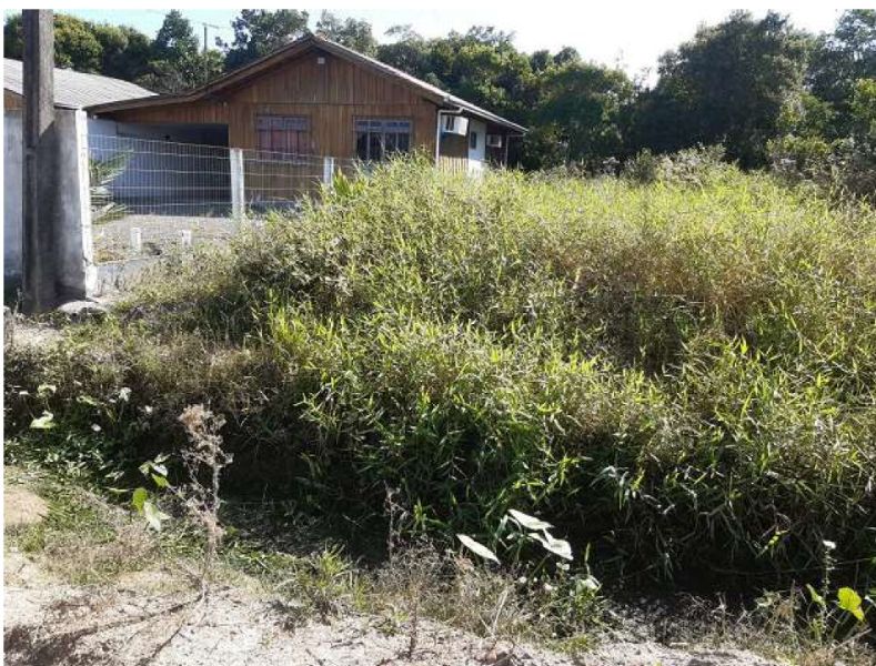 Terreno, localizado em São Francisco Do Sul - SC