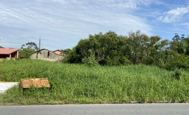 Terreno de 729,74m², localizado em Penha - SC, bairro Armação