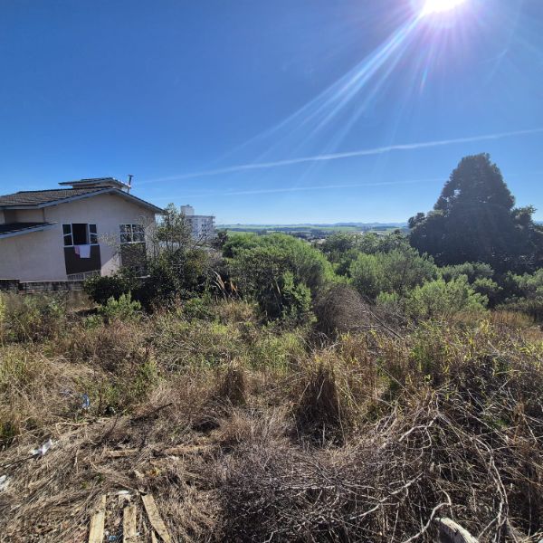 Terreno Urbano - 1.288,16m², localizado em Campos Novos - SC, bairro Nossa Senhora de Lourdes
