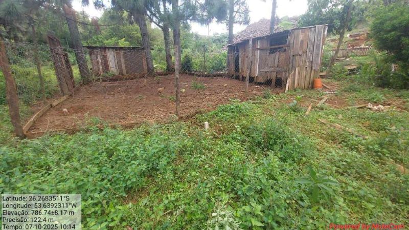 Terreno de 4.400,00 m² - Dionísio Cerqueira/SC, localizado em Dionísio Cerqueira - SC, bairro Salete