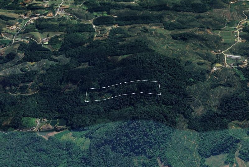 Gleba no Primeiro Braço do Norte (foto 3 de 3)