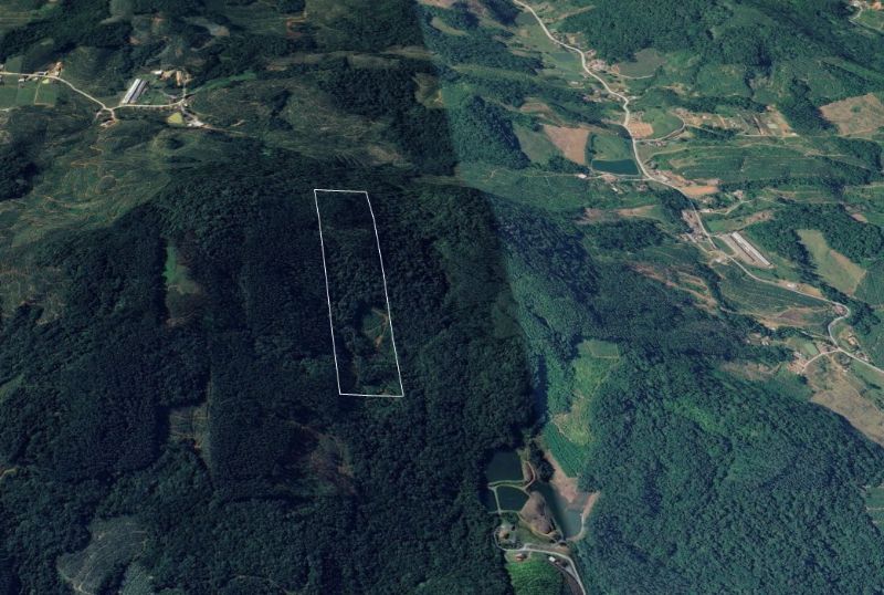 Gleba no Primeiro Braço do Norte (foto 2 de 3)