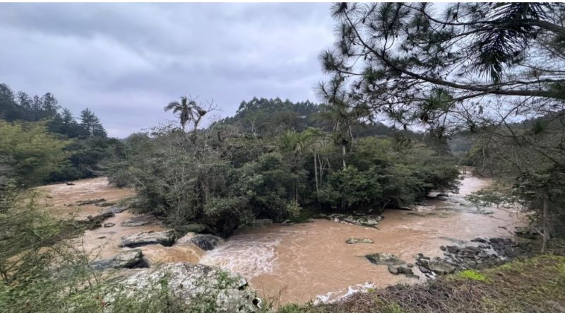 Imagem do imóvel Terreno formado por uma Ilha