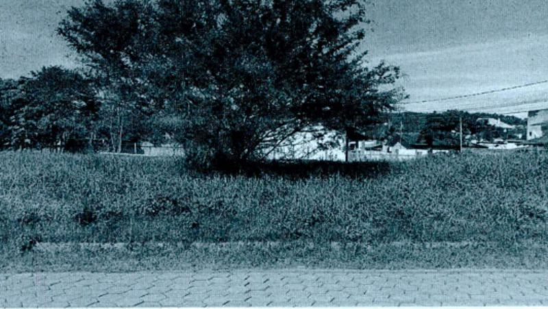 Imóvel matricula n° 38.092 , com área de 443,10m².
