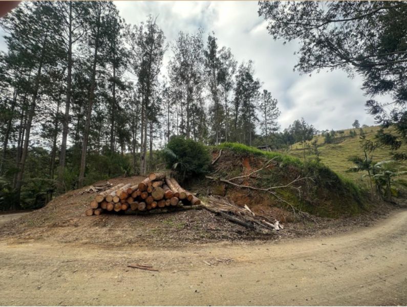Imóvel Matricula nº666, área de 176.250m² 17,625HA