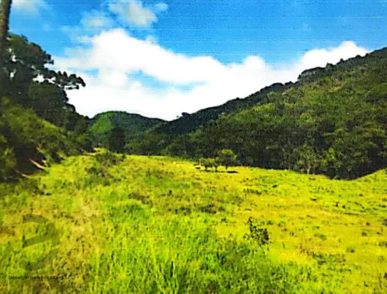 TERRENO RURAL AGRICOLA, ÁREA 1.536.700,00 m²
