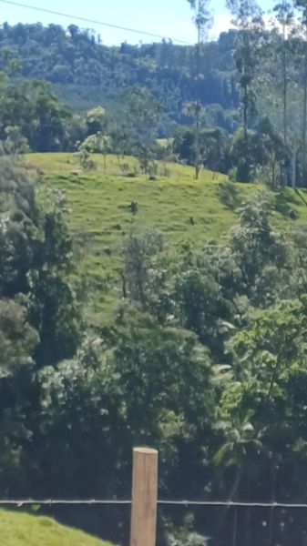 TERRENO RURAL ÁREA 34.695,74 m²