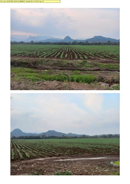 1ª PRAÇA: TERRENO RURAL ÁREA 38.000,00m², CULTIVO, localizado em Timbé Do Sul - SC
