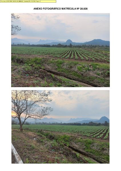 2ª PRAÇA: TERRENO RURAL ÁREA 38.000,00m², CULTIVO, localizado em Timbé Do Sul - SC