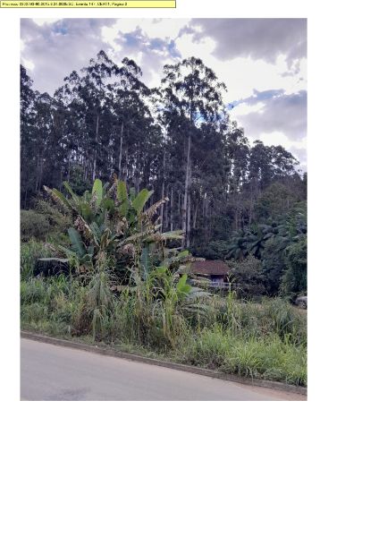 2ª PRAÇA: TERRENO ÁREA 35.280m², CASA + EUCALIPTO, localizado em Presidente Getúlio - SC