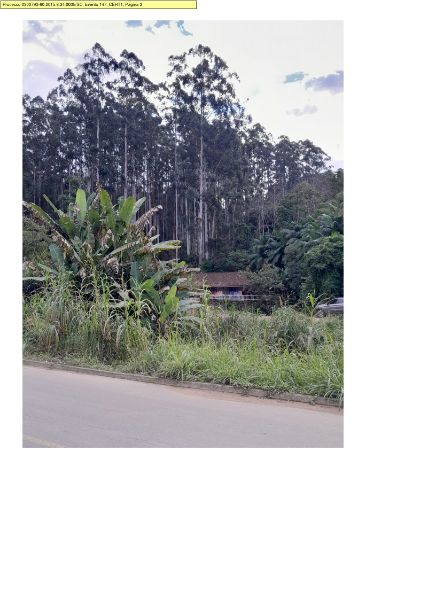 2ª PRAÇA: TERRENO ÁREA 35.280m², CASA + EUCALIPTO, localizado em Presidente Getúlio - SC