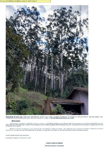 2ª PRAÇA: TERRENO ÁREA 35.280m², CASA + EUCALIPTO, localizado em Presidente Getúlio - SC