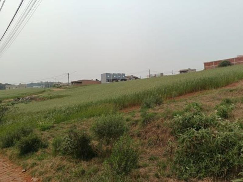 Terreno Urbano em Não-Me-Toque/RS, localizado em Não-me-toque - RS