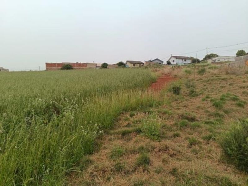 Terreno Urbano em Não-Me-Toque/RS, localizado em Não-me-toque - RS
