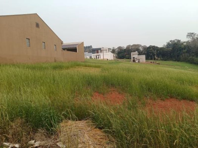 Terreno Urbano em Não-Me-Toque/RS, localizado em Não-me-toque - RS